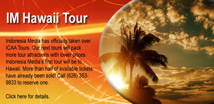 hawaii tour 