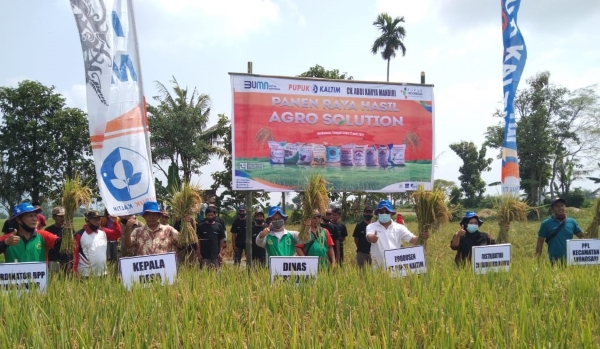 Agro-solution Diarahkan pada Intensifikasi Pertanian
