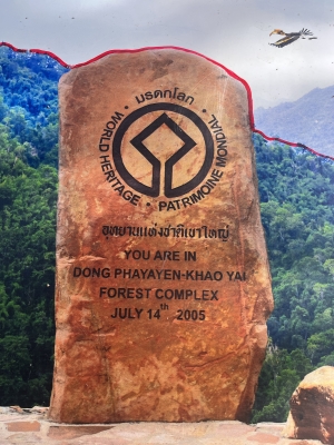 AUGUST 2025 : THAILAND # 2 : KHAO YAI ( TAMAT)